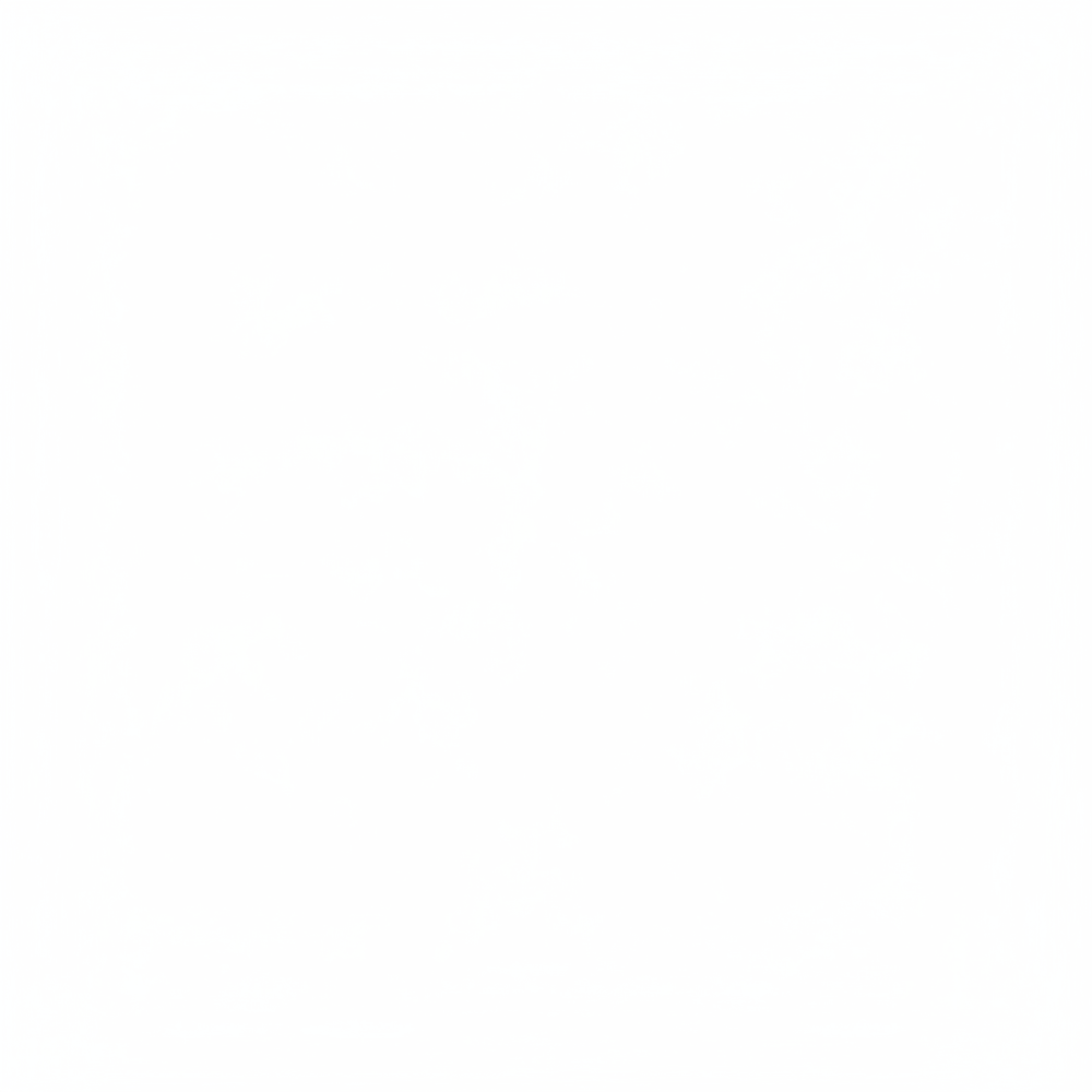 need white blank square image